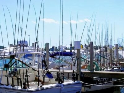 Keeping the $5.5 billion Great Lakes fishery afloat as Trump administration considers cuts