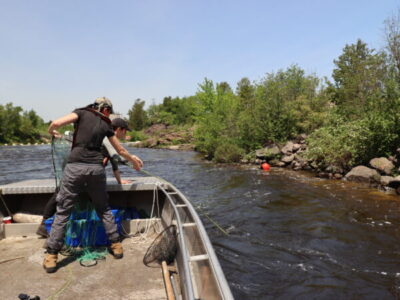 Meet the people trying to keep a prehistoric fish alive